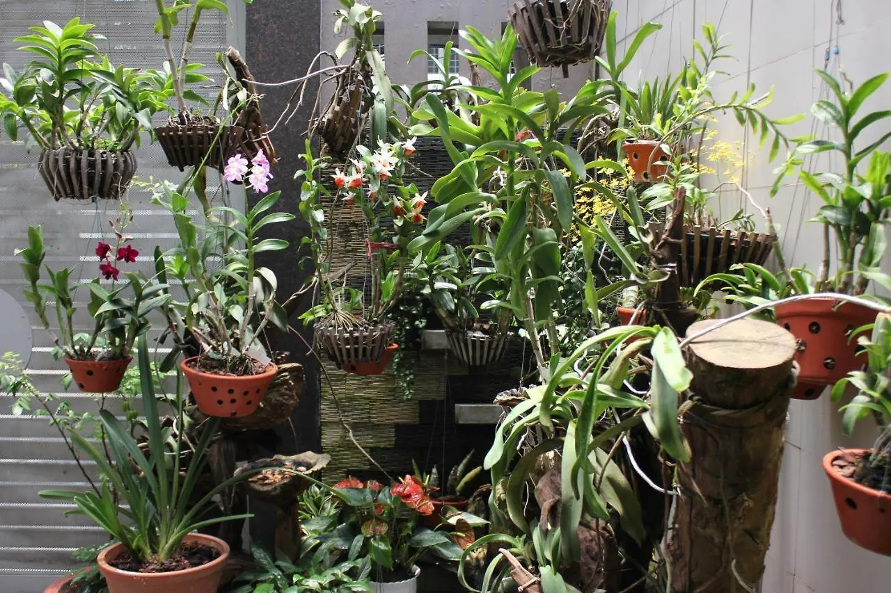 Hoshi Apartment Ho Chi Minh City Aparthotel