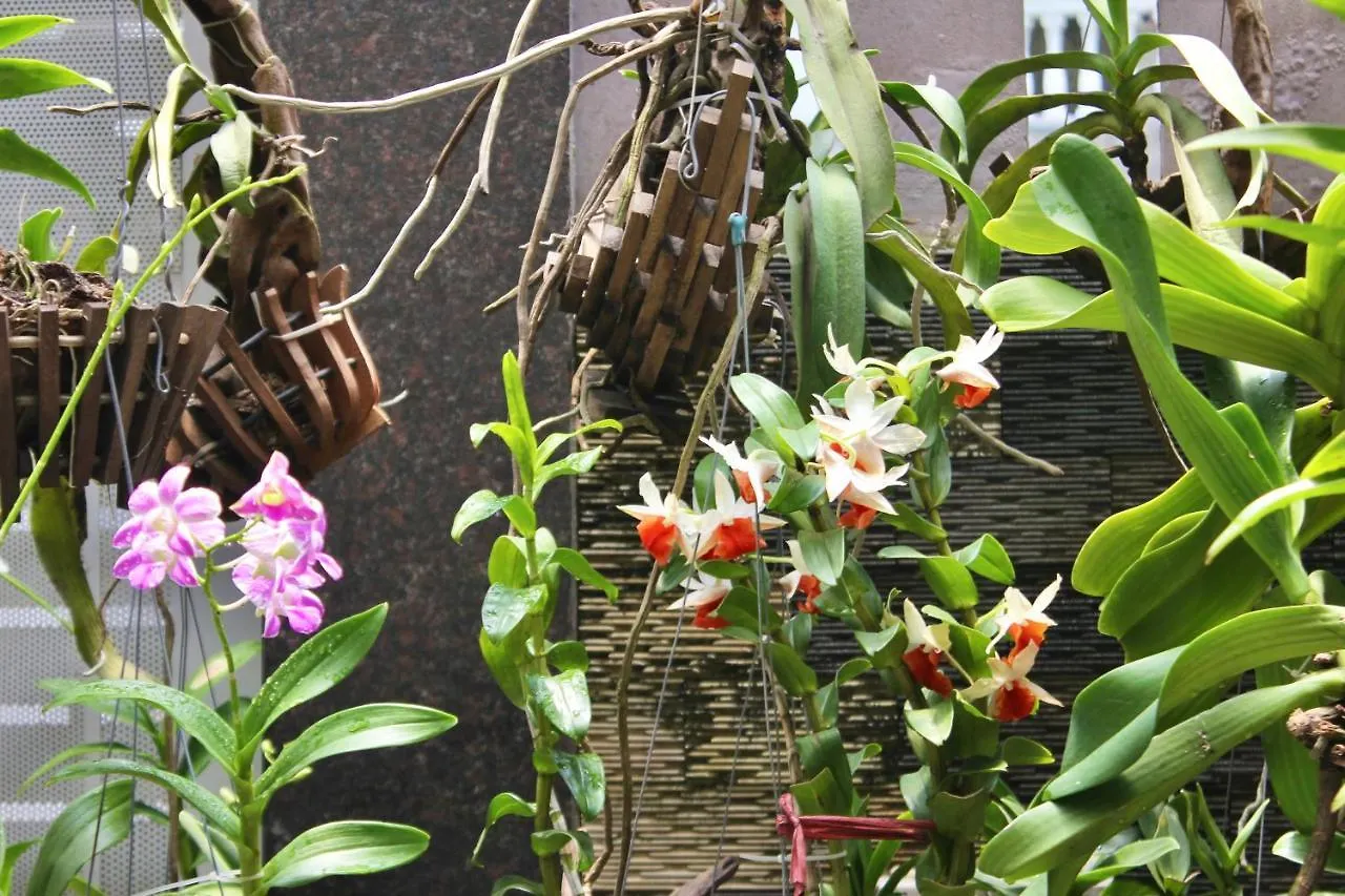 Aparthotel Hoshi Apartment Ho Chi Minh City